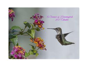 Hummingbird Love 2025 Calendar