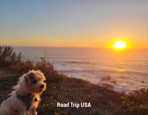 Road Trip USA