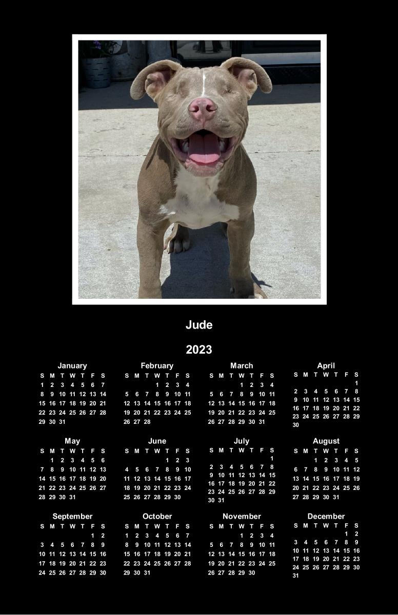 Smile with Jude Calendar Create Photo Calendars