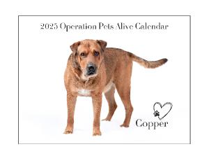 2025 Operation Pets Alive Calendar