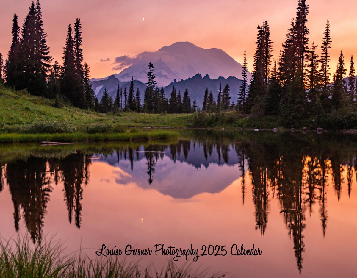 Louise Gessner Photography 2025 Calendar