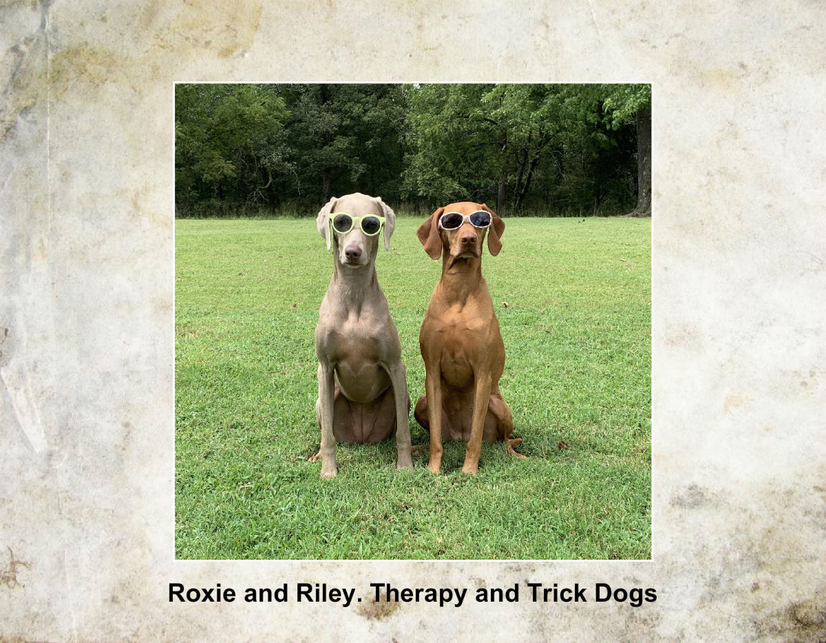 Roxie and Riley Calendar Create Photo Calendars