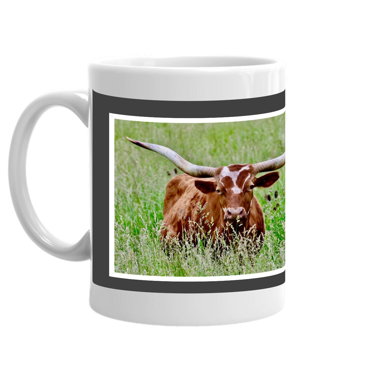 TEXAS LONGHORNS ALL I NEED IS COFFEE MUG