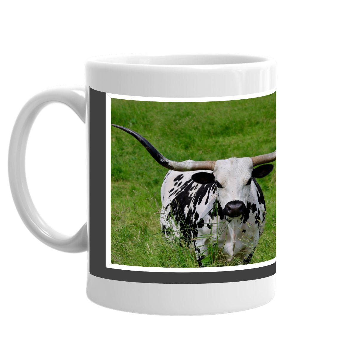 TEXAS LONGHORNS EVERYTHING IS BIGGER IN TEXAS MUG