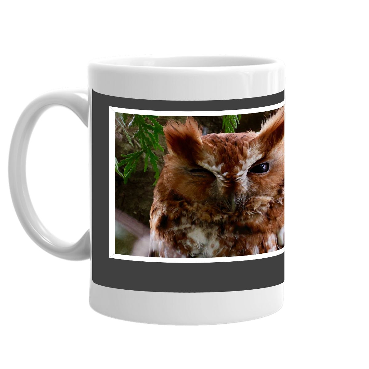 HOO CARES IM RETIRED OWL PHOTO MUG