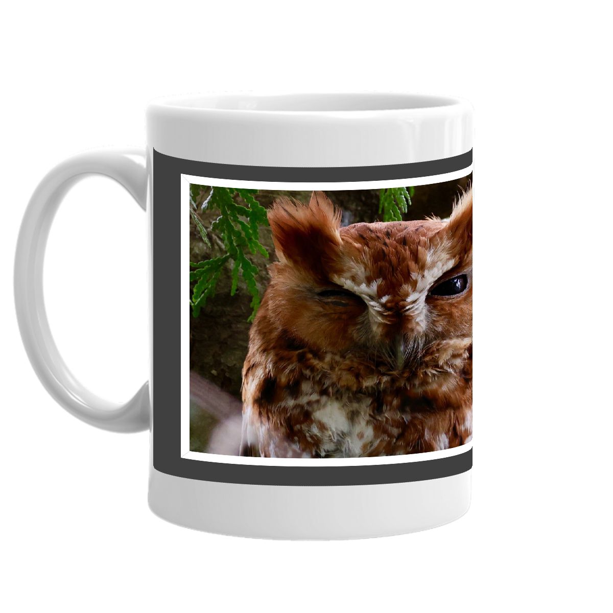 HAPPY BIRTHDAY OWL PHOTO MUG WITH CAPTION