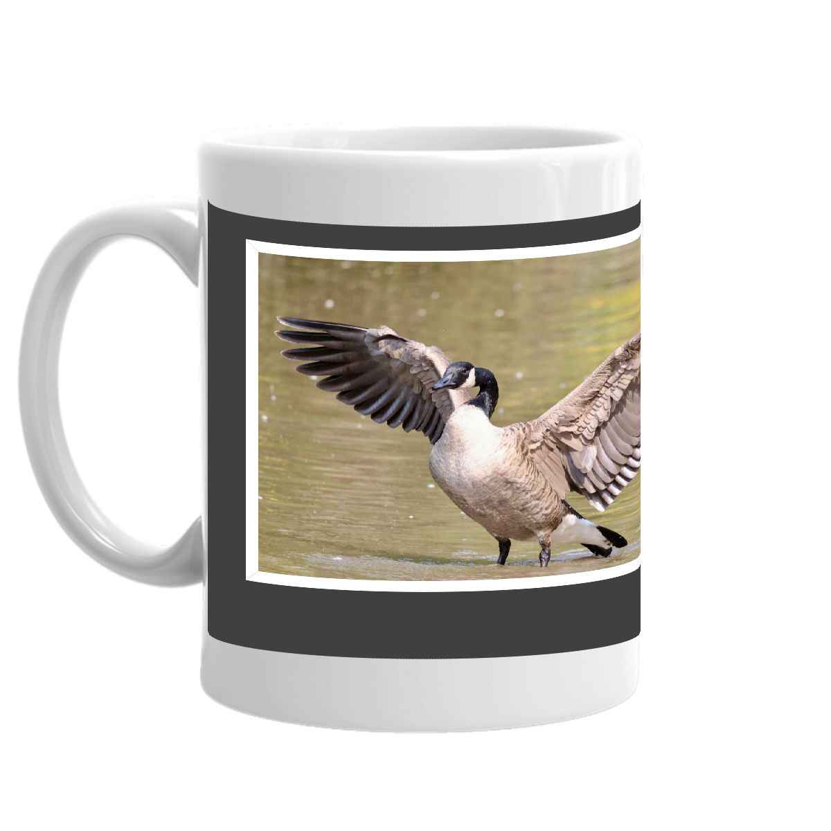 GOOSE ON AVON PHOTO MUG