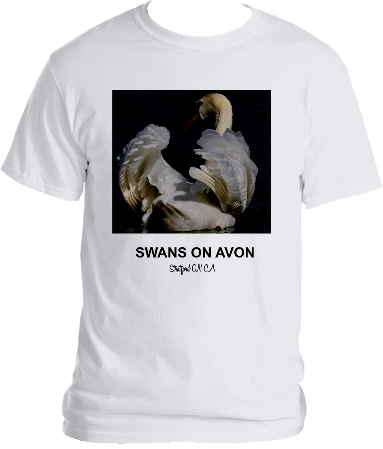 SWANS ON AVON T SHIRT