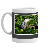 BLACK CROWNED NIGHT HERON PHOTO MUG