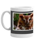 Owl Eastern Screech mug