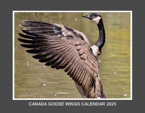 CANADA GOOSE ON AVON CALENDAR 2025