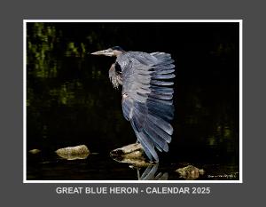 GREAT BLUE HERON ON AVON CALENDAR 2025