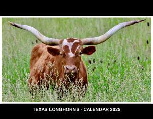 TEXAS LONGHORNS - CALLENDAR 2025