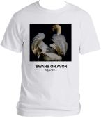 SWANS ON AVON T SHIRT