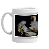 SWANS ON AVON MUG, WHITE