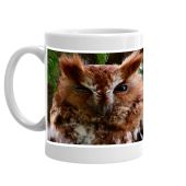 Owl Always Love You Mug