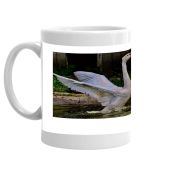 CYGNET ON AVON 3 PHOTO MUG