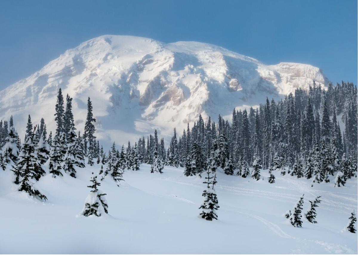 Winter 8 Mount Rainier in the Snow