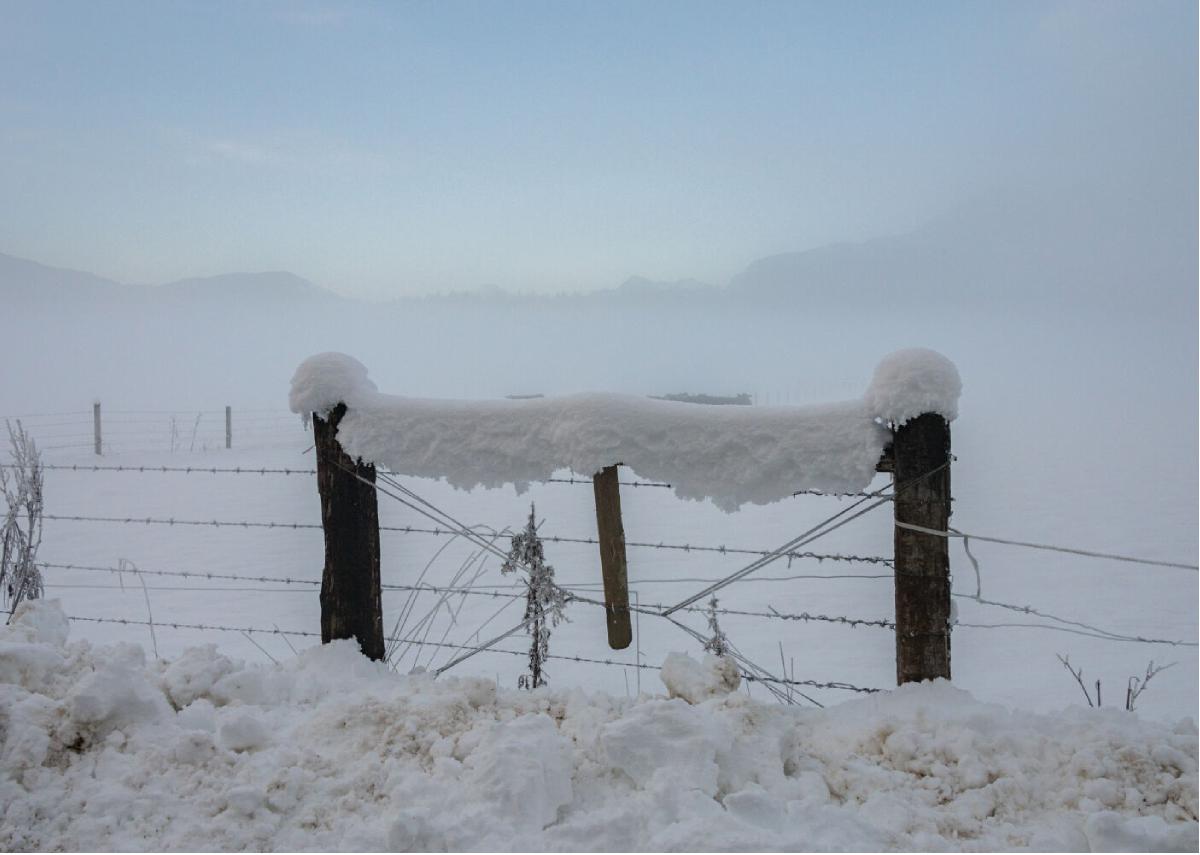 Winter 11 Frozen Fence