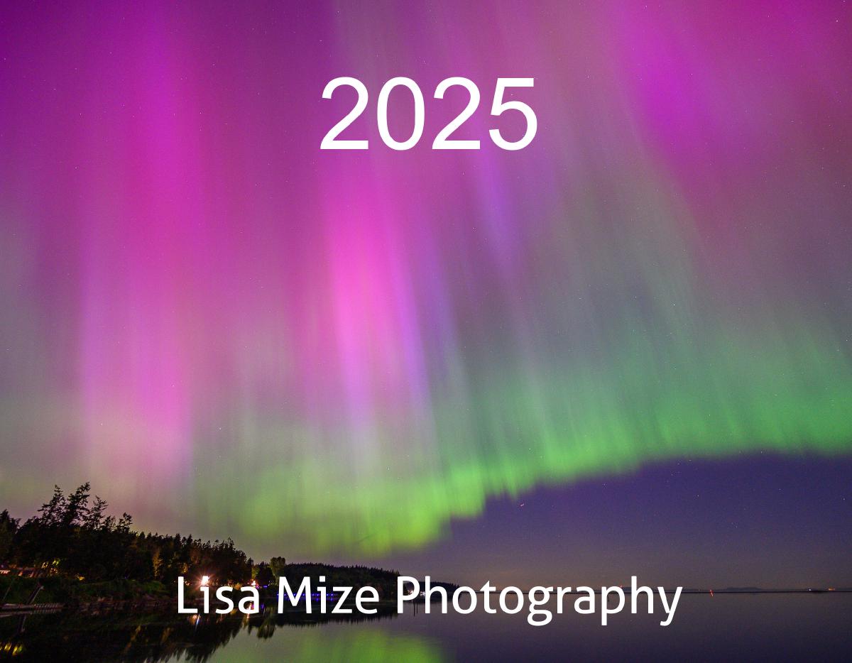 2025 Aurora Borealis Lisa Mize Photography Calenda