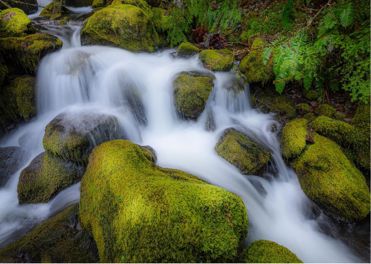 Watson Falls, Oregon