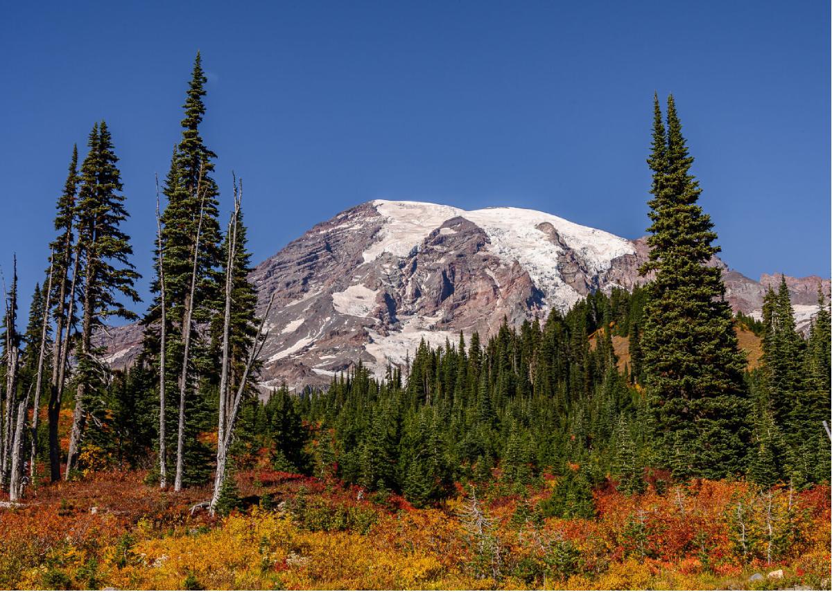 Autumn and Mt. Rainier