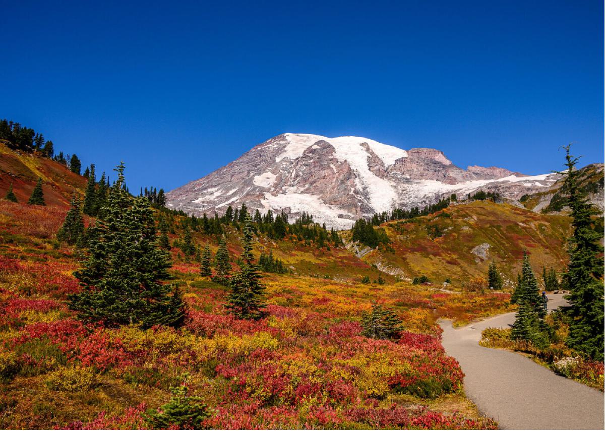 Autumn and Mt. Rainier