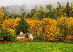 Autumn Church and trees