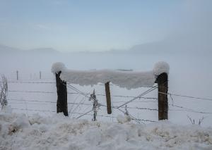 Winter 11 Frozen Fence