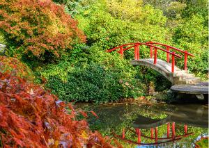 Autumn 3 Kubota Gardens Moon Bridge