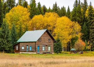 Autumn 1 Trees and Log Home