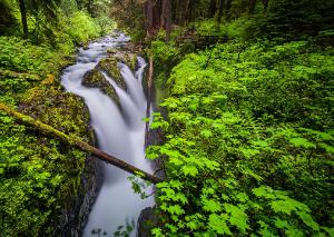 Sol Duc Falls, Washington