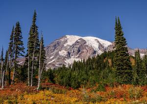 Autumn and Mt. Rainier