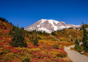 Autumn and Mt. Rainier