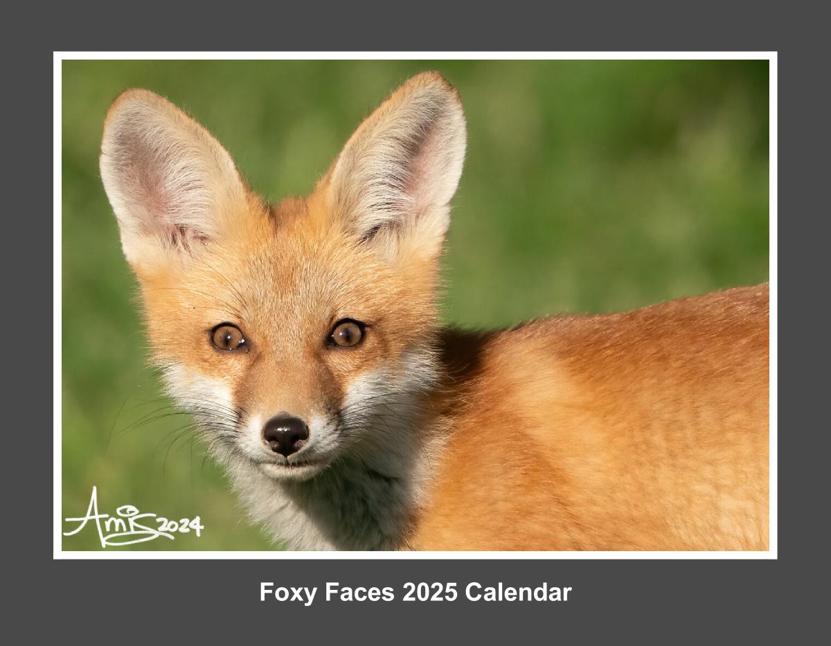 Foxy Faces 2025 Calendar