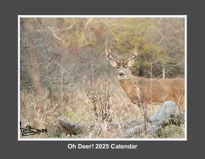 Oh Deer! 2025 Calendar