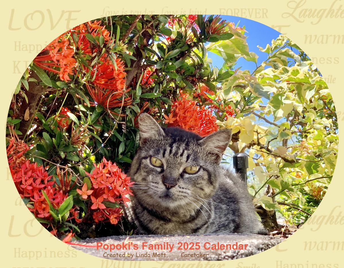 Popoki's Family 2025 Calendar