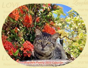 Popoki's Family 2025 Calendar