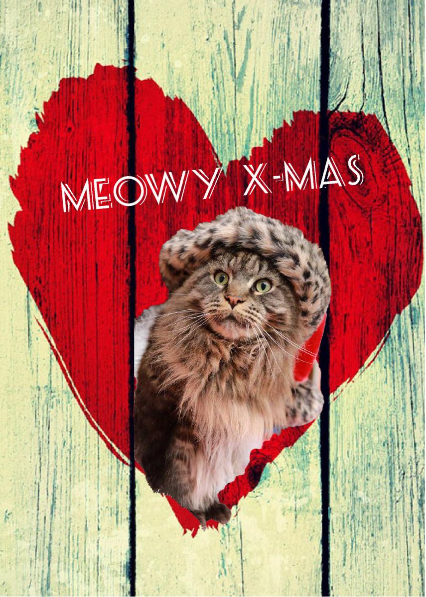 Louis Wildlife Meowy X-mas