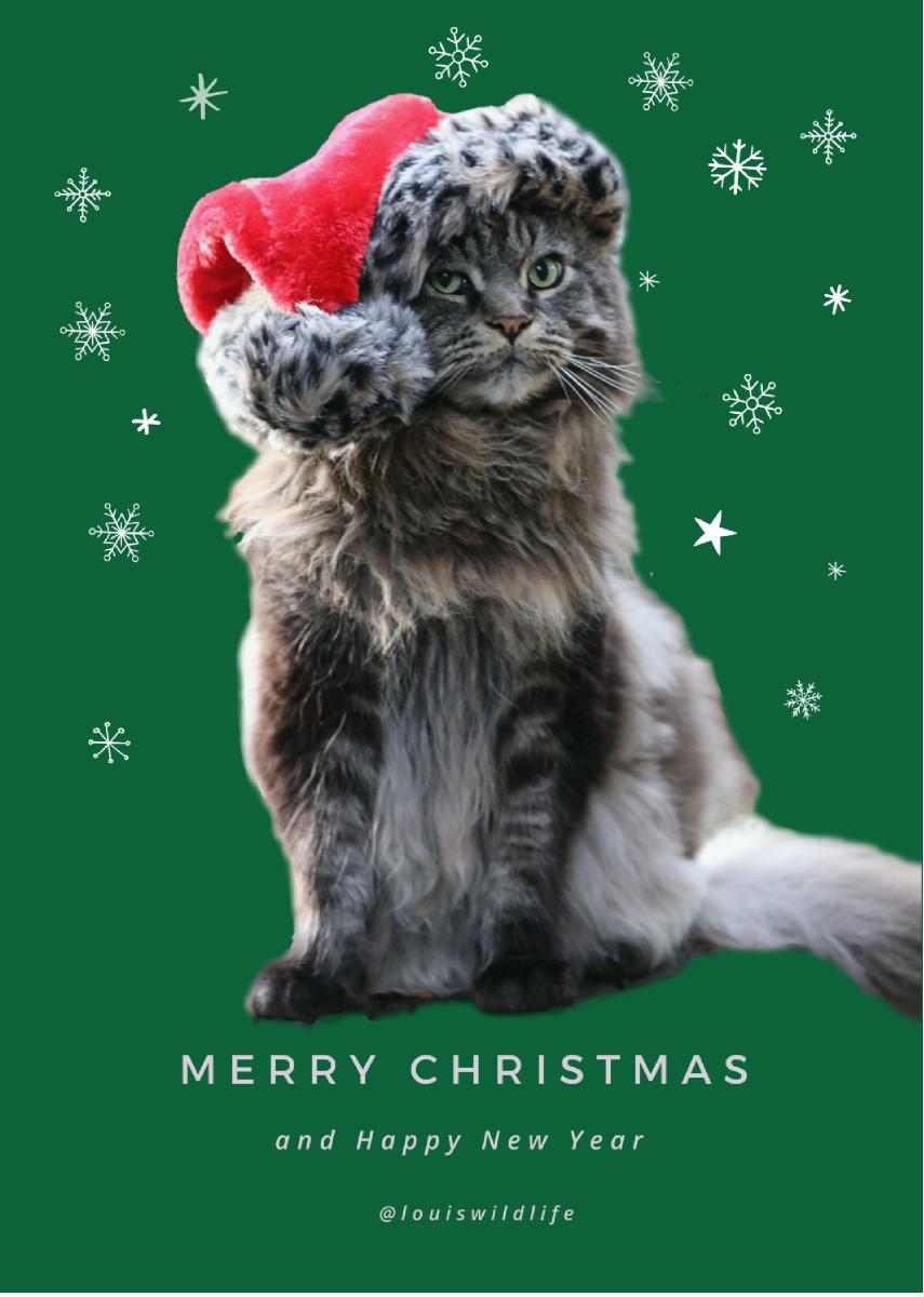 Louis Christma Card Nr. 1 green