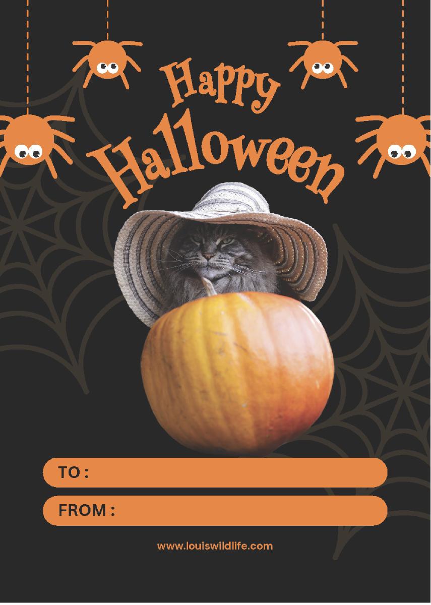 Louis Halloween Card Nr 5