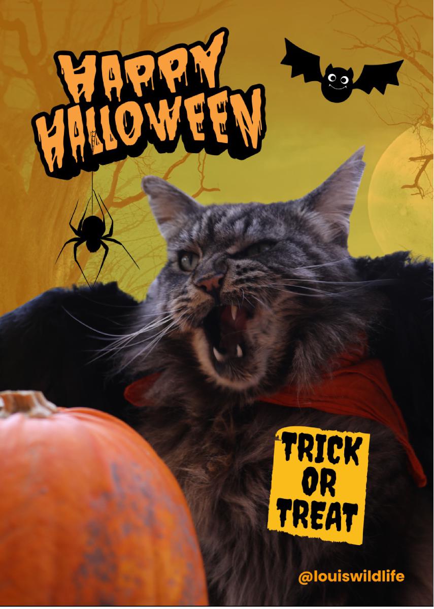 Louis Halloween Greeting Card Nr. 4