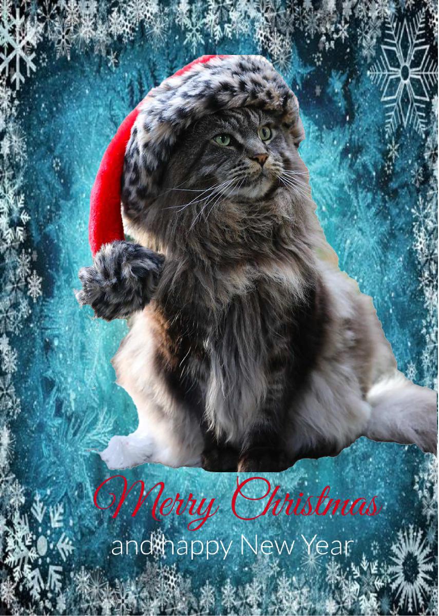 Catmas Card Louis