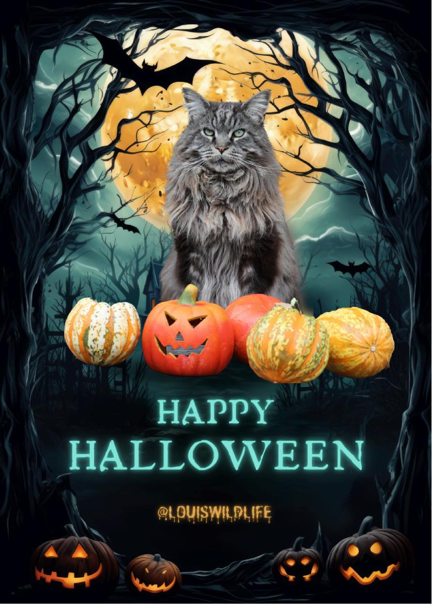 Louis Halloween Card Nr 8