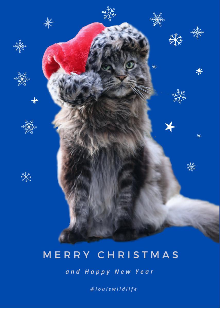 Louis Christmas Card Blue