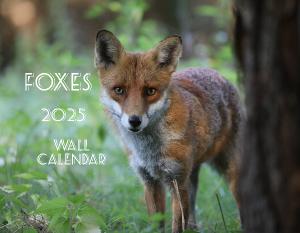 Foxes 2025 Wall Calendar