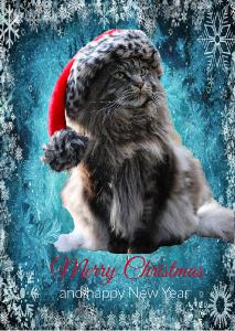 Catmas Card Louis