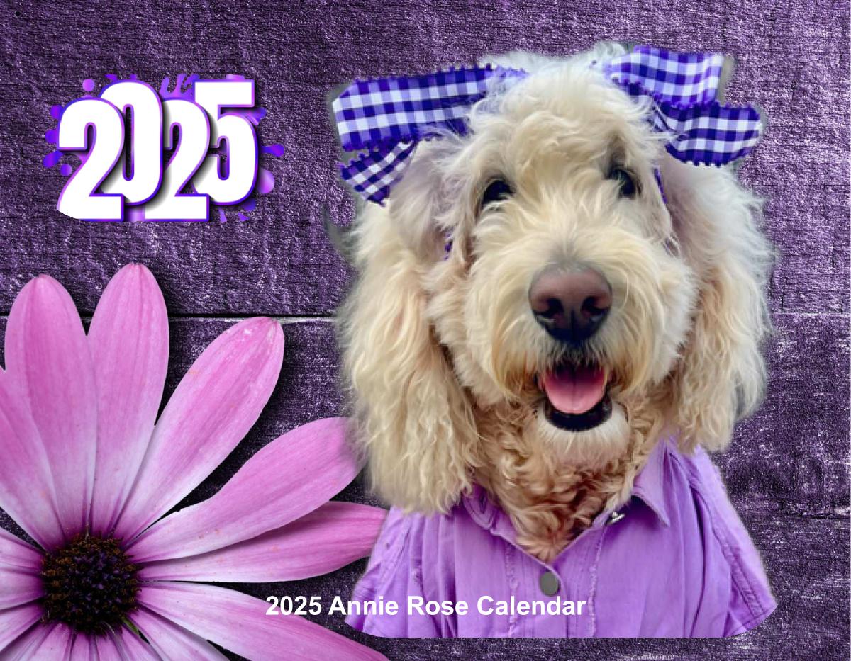 2025 Annie Rose Goldendoodle