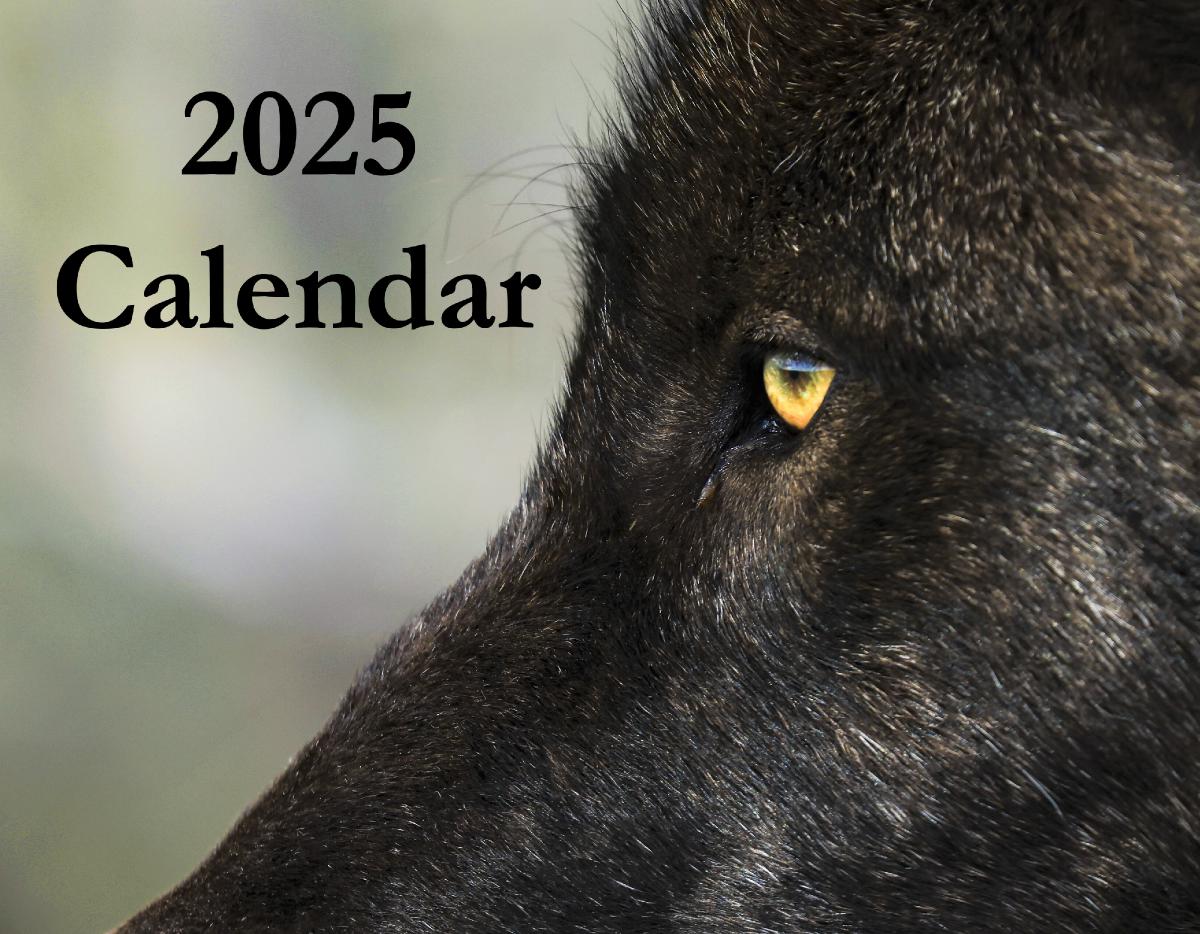 2025 Calendar