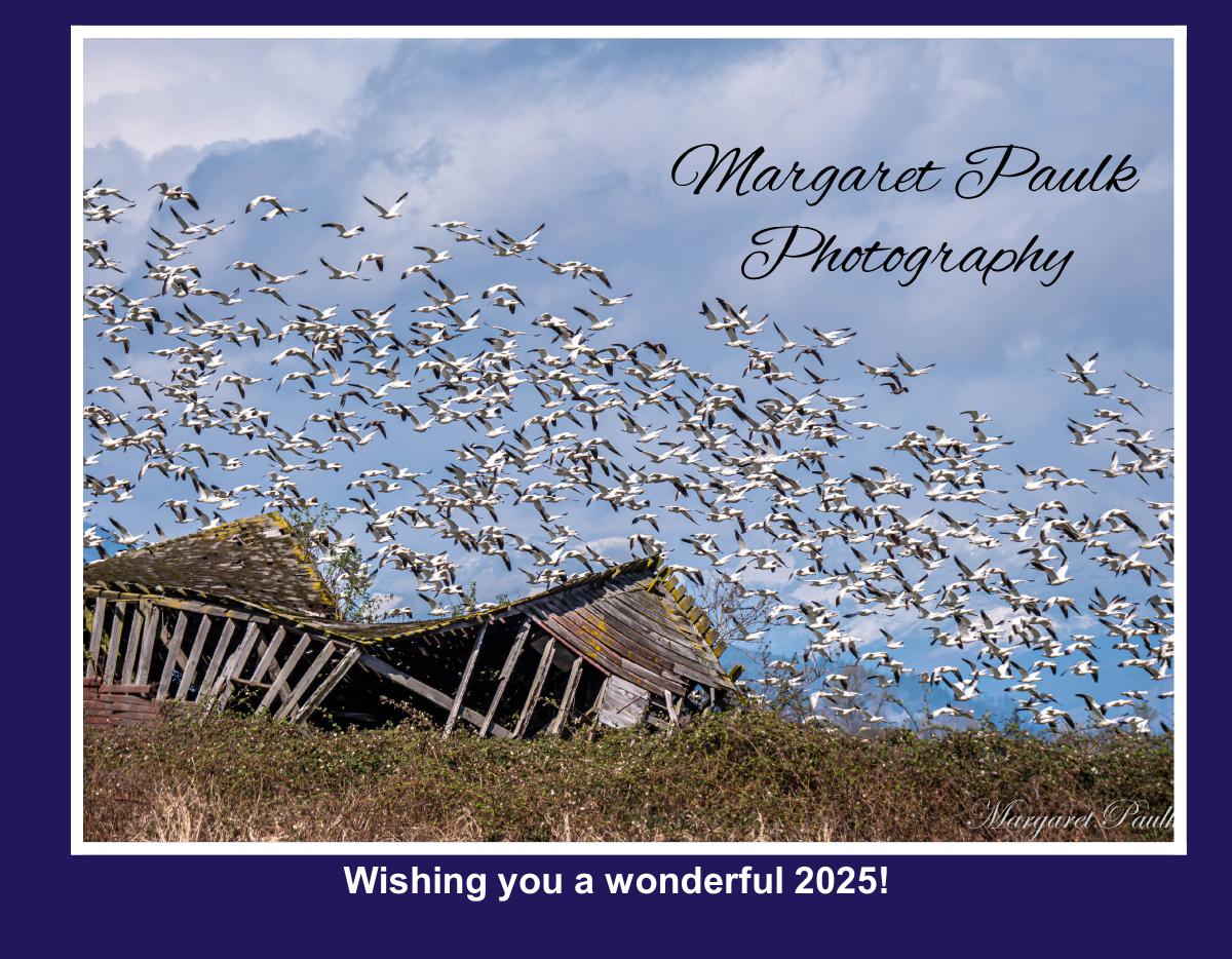 Margaret Paulk Photography 2025 Calendar